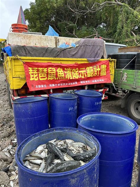 魚 數量|全球漁業水產養殖概況 FAO指出：魚類人均消費量創新高紀錄